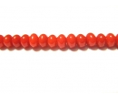 Coral 04